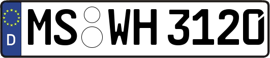 MS-WH3120