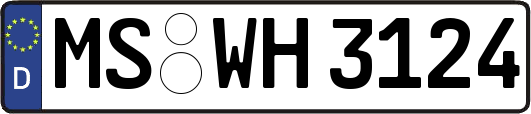MS-WH3124