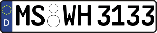 MS-WH3133