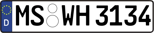 MS-WH3134