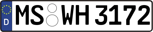 MS-WH3172