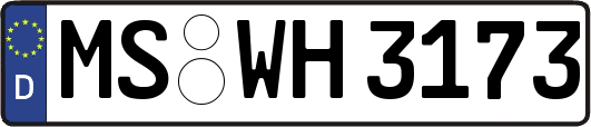 MS-WH3173