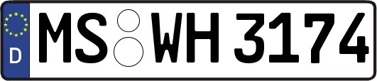 MS-WH3174