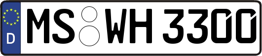 MS-WH3300