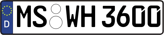 MS-WH3600