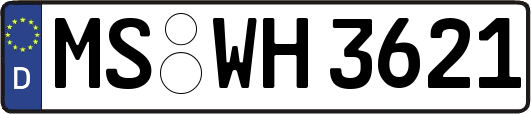 MS-WH3621