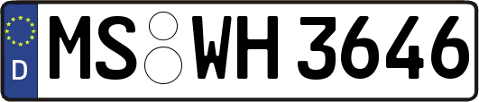 MS-WH3646