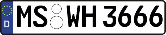 MS-WH3666