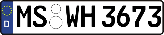 MS-WH3673