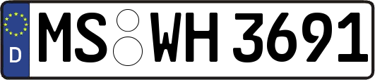 MS-WH3691