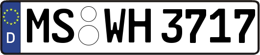 MS-WH3717