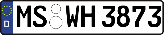 MS-WH3873