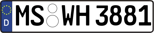 MS-WH3881