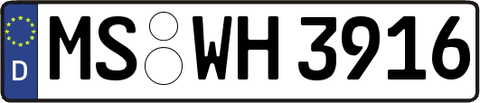 MS-WH3916