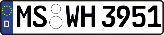 MS-WH3951