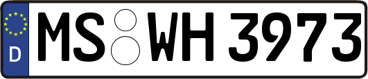 MS-WH3973