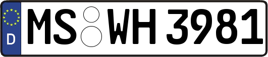 MS-WH3981
