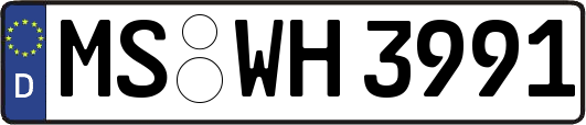 MS-WH3991