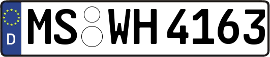 MS-WH4163