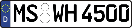 MS-WH4500