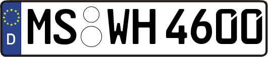 MS-WH4600