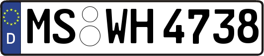 MS-WH4738