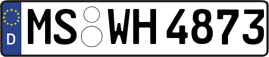 MS-WH4873