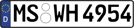 MS-WH4954