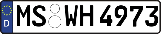 MS-WH4973