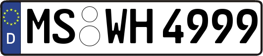 MS-WH4999