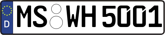 MS-WH5001