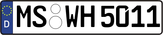 MS-WH5011