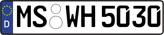 MS-WH5030