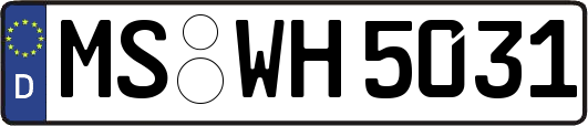 MS-WH5031