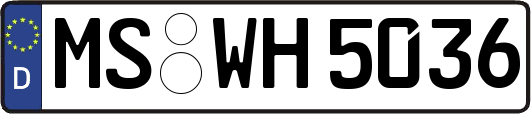MS-WH5036