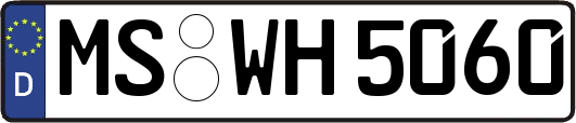 MS-WH5060