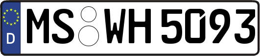 MS-WH5093