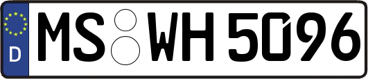MS-WH5096