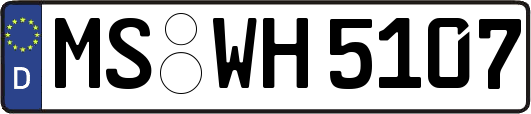 MS-WH5107