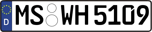 MS-WH5109
