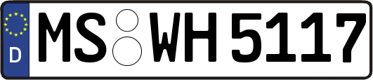 MS-WH5117