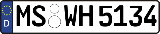 MS-WH5134