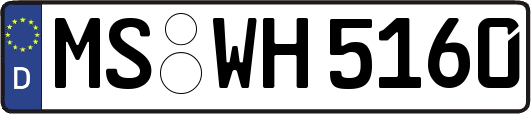 MS-WH5160