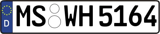 MS-WH5164