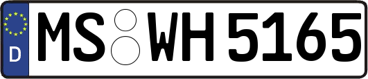 MS-WH5165