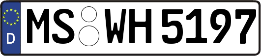 MS-WH5197