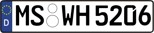 MS-WH5206
