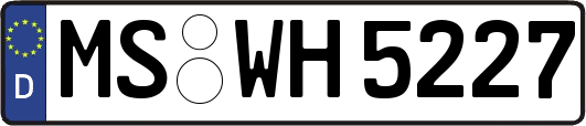 MS-WH5227