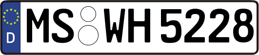 MS-WH5228