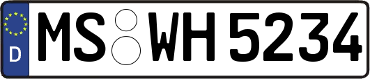 MS-WH5234